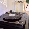 Pavarų juostos vinilinis patefonas Energy Sistem BlackSpin Black Transparent 33 45 78 RPM