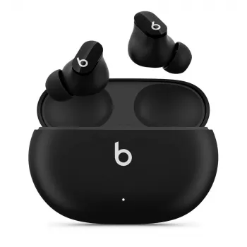 Ausinės Beats by Dr. Dre MJ4X3EE/A