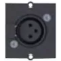 Bachmann modulinė Snap-In plokštelė - 3 PIN XLR - juoda