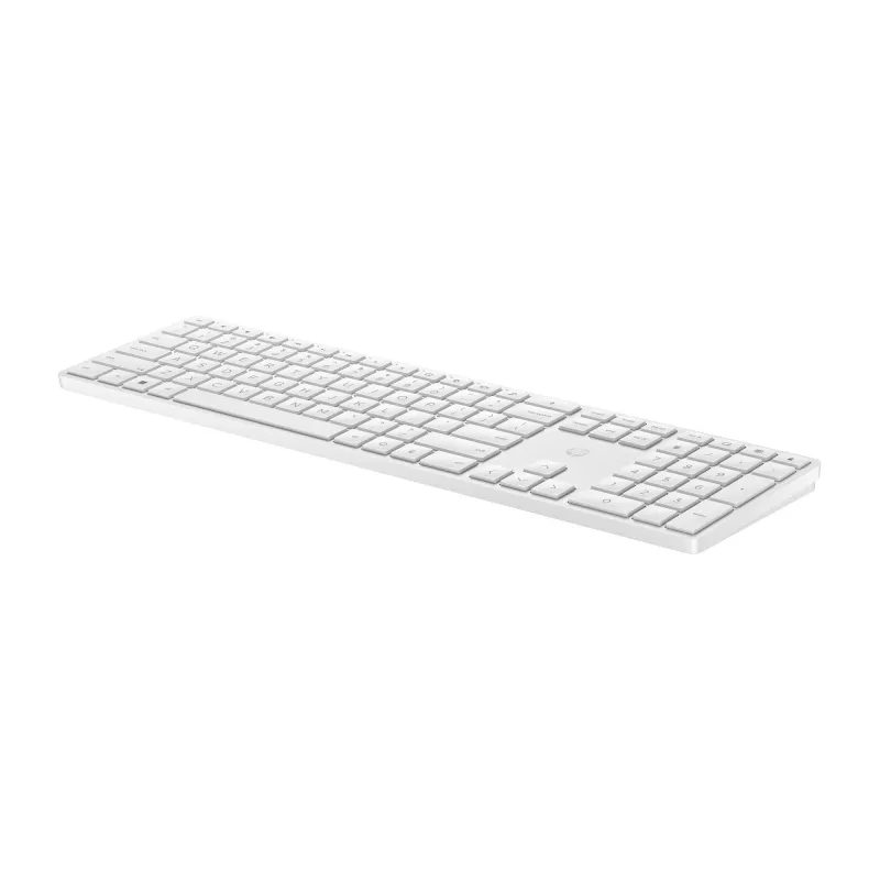 HP 450 Programmable belaidė klaviatūra, pilno dydžio, RF belaidis ryšys, USB, juoda