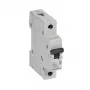 Automatinis jungiklis Legrand 419137 B20A 1P 6kA