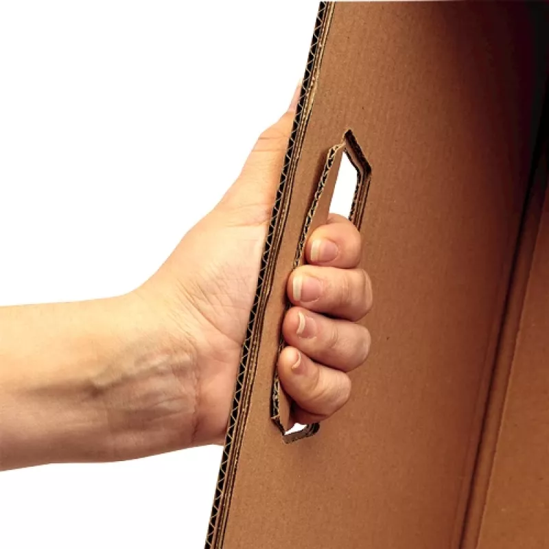 Fellowes 6203801 laikymo dėžė stačiakampė kartoninė natūrali