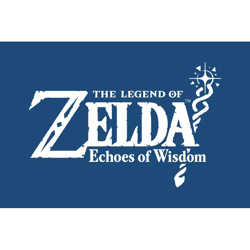 Nintendo NIN10013821 vaizdo žaidimas Standartinis vokiečių, olandų, anglų, ispanų, prancūzų, italų kalbomis Nintendo Switch