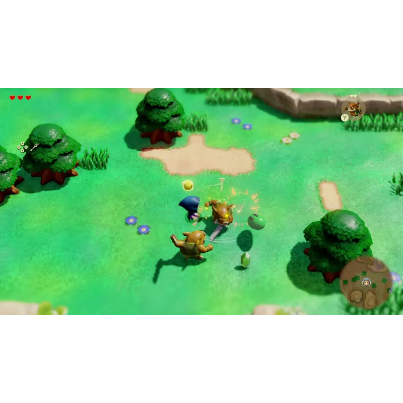Nintendo NIN10013821 vaizdo žaidimas Standartinis vokiečių, olandų, anglų, ispanų, prancūzų, italų kalbomis Nintendo Switch
