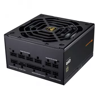 Maitinimo blokas COUGAR GR 1000W ATX3.1 PCIE 5.1 80 PLUS Gold, 1000 W, 20+4 pin ATX, 120 mm ventiliatorius