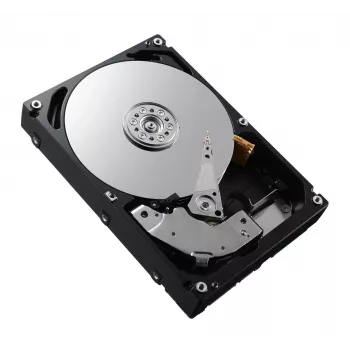 DELL 161-BCFV vidinis kietasis diskas 2,4 TB 10000 aps/min 2,5 colio SAS