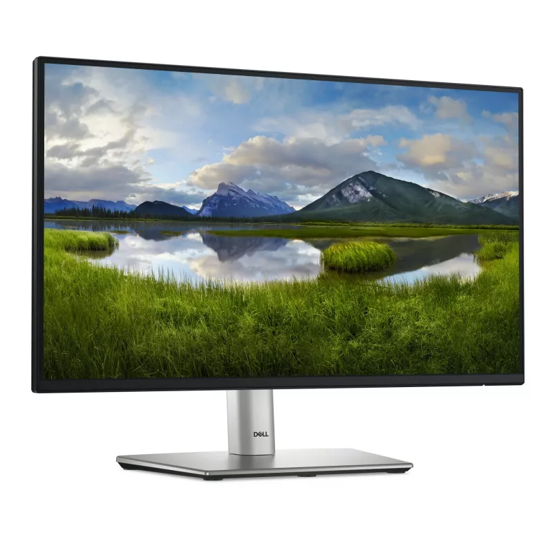 DELL P Series P2225H monitor kompiuteriui 54,6 cm (21,5 colio) 1920 x 1080 pikselių Full HD LCD juodas, sidabrinis