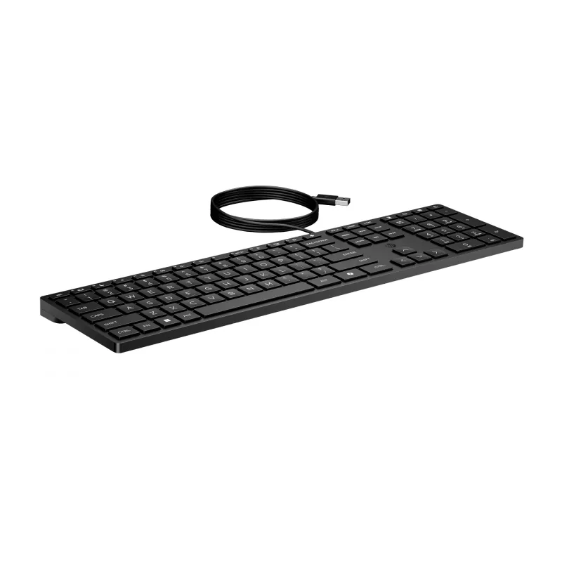 HP Wired Desktop 320K klaviatūra, pilno dydžio, USB, membraninė, juoda