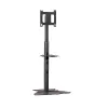Pramoninis monitoriaus stovas Chief PF1UB 190,5 cm (75 inch) juodas