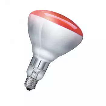 Infraraudonųjų spindulių lempa Philips 923212043801 250 W 5000 h 230-250 V