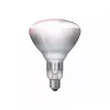 Infraraudonųjų spindulių lemputė Philips 57522725 150 W 5000 h 230-250 V