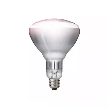 Infraraudonųjų spindulių lemputė Philips 57522725 150 W 5000 h 230-250 V