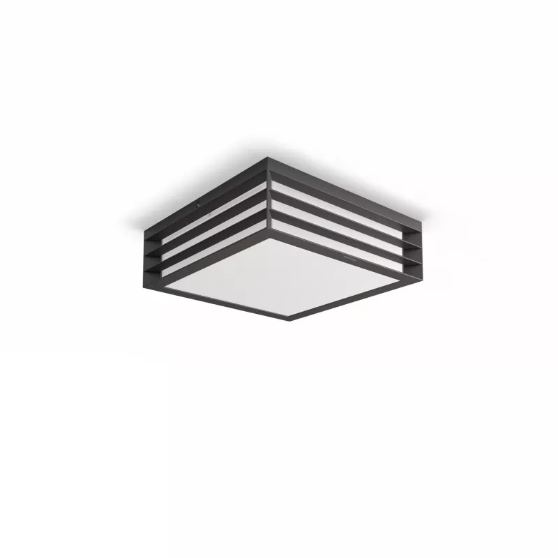 Philips myGarden Moonshine lubinis šviestuvas 28W E27 be lemputės, lauko sieninis apšvietimas, antracitas, aliuminis, sintetika, IP44, sodas, terasa, II