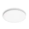 Philips Functional Izso lubinis šviestuvas 40 W, LED, 4300 lm, IP20, baltas
