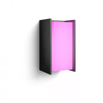 Lauko sieninis šviestuvas Signify Philips Hue Turaco – balta ir spalvota šviesa, antracitas, Bluetooth/Zigbee, aliuminis