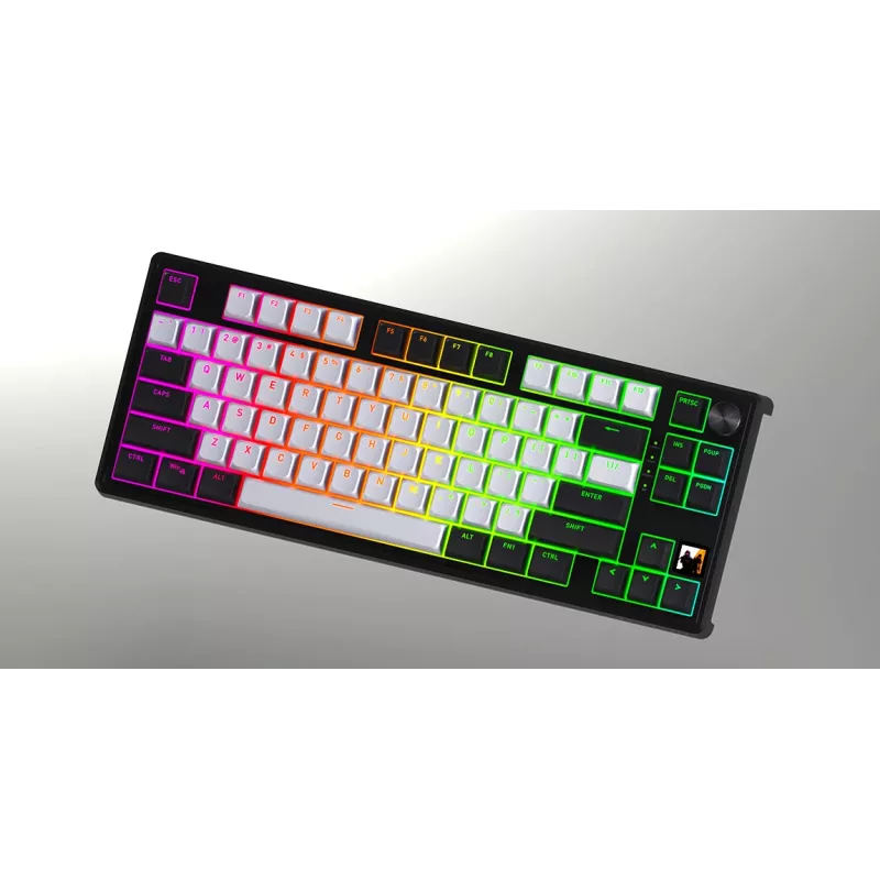 HATOR Skyfall 80 MAG ULTIMA 8K belaidė klaviatūra žaidimams USB + RF Wireless + Bluetooth QWERTY US English juoda, balta