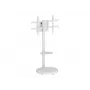 TECHLY Grindinis stovas su vežimėlio lentyna LCD/LED/Plasma TV 37-86 col. Baltas