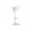TECHLY Grindinis stovas su vežimėlio lentyna LCD/LED/Plasma TV 37-86 col. Baltas
