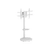 TECHLY Grindinis stovas su vežimėlio lentyna LCD/LED/Plasma TV 37-86 col. Baltas