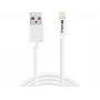 SANDBERG 440-94 Laidas USB->Lightning 2M AppleApproved