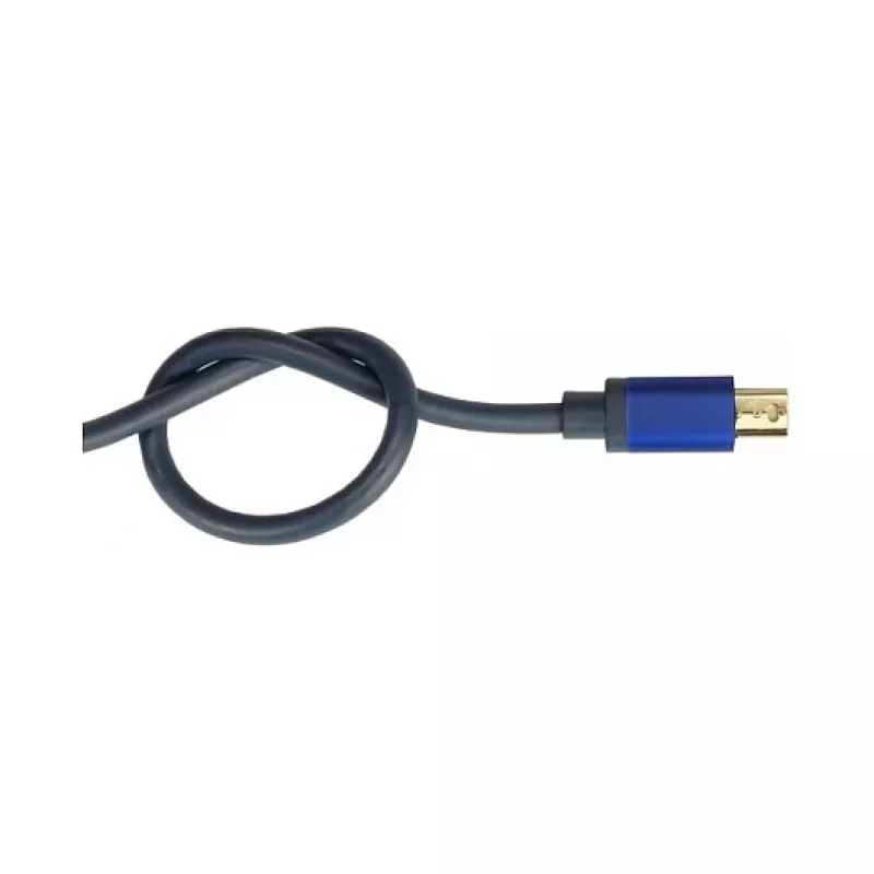 Vaizdo kabelio adapteris Alcasa MDP-HDMI2 0,2 m Mini DisplayPort HDMI juodas mėlynas
