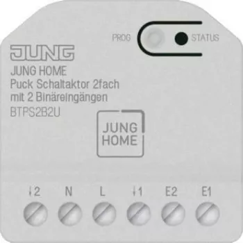 Jung BT P S2 B2 U (JUNG HOME Puck) 2 kanalų jungiklio pavara su 2 dvejetainiais įėjimais