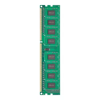 PNY DDR3 8GB 1600MHz atminties modulis