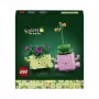 LEGO Botanicals Swaying Plants 11506 – Siūbuojantys augalai