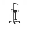 Avtek TS Electric Stand Light variklinė ekrano atrama 55-75" ekranams, apkrova iki 60 kg, VESA 800 x 600, juoda (1MV145)