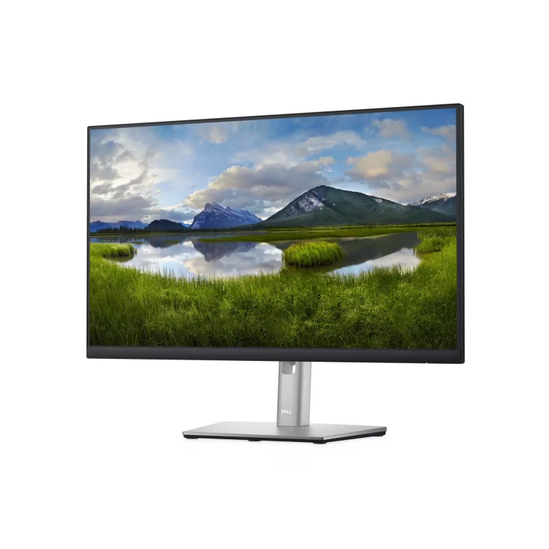 DELL P Series P2422H monitor 60,5 cm (23,8 colio) 1920 x 1080 pikselių Full HD LCD juodas