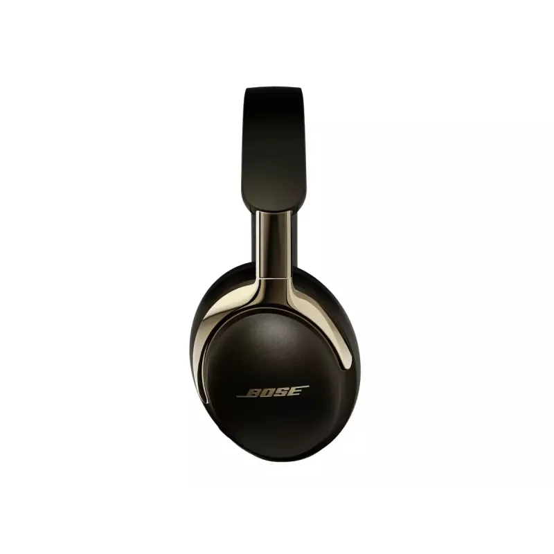 Ausinės Bose 890101-0400