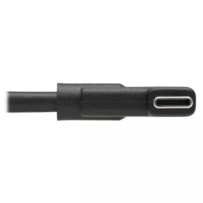 USB-C laidas Tripp Lite U420-02M-RA 2 m USB 3.2 Gen 1 Thunderbolt 3 stačiu kampu