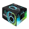Cool Box Iceberg Thermal IceFLOE AURORA 0.355 L Juodas