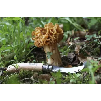 Kišeninis peilis Opinel su šepetėliu grybams