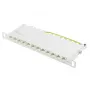 Pataisų skydelis Alcasa GC-N0132, 12xRJ45, 10 Gigabit Ethernet, 0,5U, pilkas