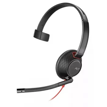 Ausinės POLY Blackwire 5210