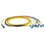 Skiemeninis šviesolaidinis kabelis EFB Elektronik MTPF12LCOS2-1 1m