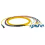 Šviesolaidinis kabelis EFB Elektronik MTPF12LCOS2-10 10 m