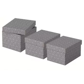 Dėžutė laikymui Esselte 628281 Pilka Stačiakampė 200x255x150 mm