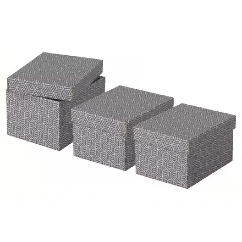 Dėžutė laikymui Esselte 628281 Pilka Stačiakampė 200x255x150 mm