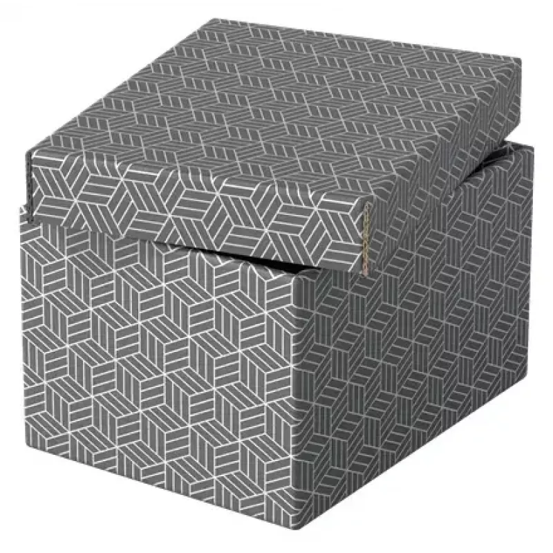 Dėžutė laikymui Esselte 628281 Pilka Stačiakampė 200x255x150 mm