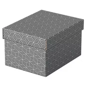 Dėžutė laikymui Esselte 628281 Pilka Stačiakampė 200x255x150 mm