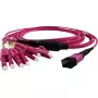 GRAFENTHAL GTOM4MPOU4LCU00500 InfiniBand šviesolaidinis kabelis 5 m MPO 4x LC OFC