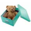 Leitz Click & Store Medium Box laikymo dėžė, turkio spalva