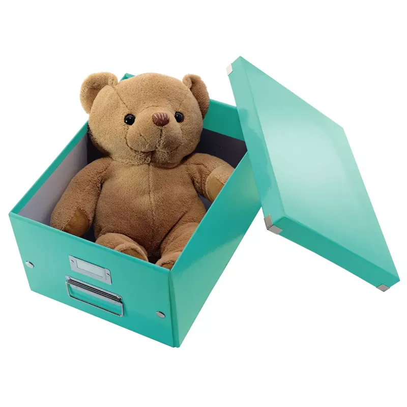 Leitz Click & Store Medium Box laikymo dėžė, turkio spalva
