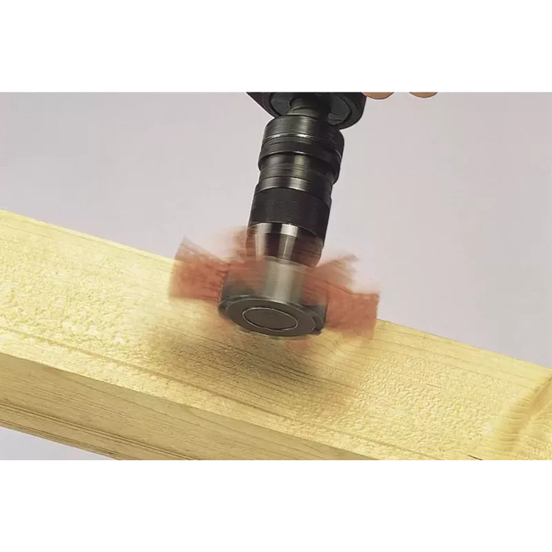 Nailoninis rotacinis šlifavimo diskas Wolfcraft 1512000