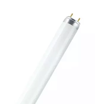 Osram Lumilux T5 trumpa liuminescencinė lemputė 8 W G5 šalta balta 430 lm