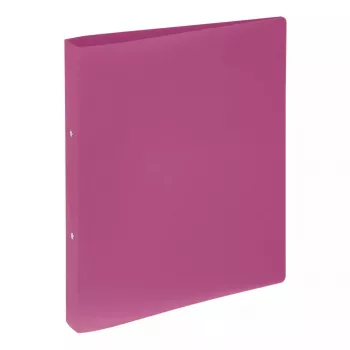 Segtuvas su žiedais A4 Pagna 20900-34 Rožinis