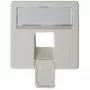 Telegärtner apdailinė plokštelė 50×50 mm AMJ45 8/8 UP/O, alpinė balta