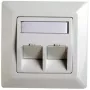 RJ45 adapterio rėmelis Cat.5e Telegärtner H02010A0040 45° dvigubas 80x80 mm Alpine White